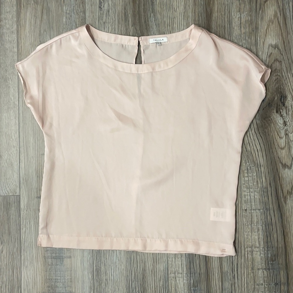 Aritzia Talula silky top